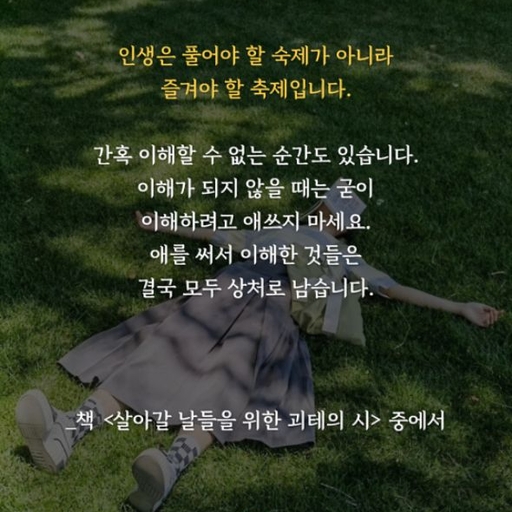 피드 이미지