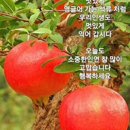 피드에 업로드 된 이미지
