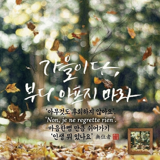 피드 이미지