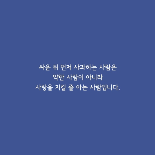 피드 이미지
