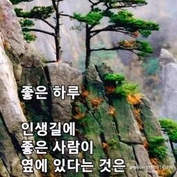 피드에 업로드 된 이미지