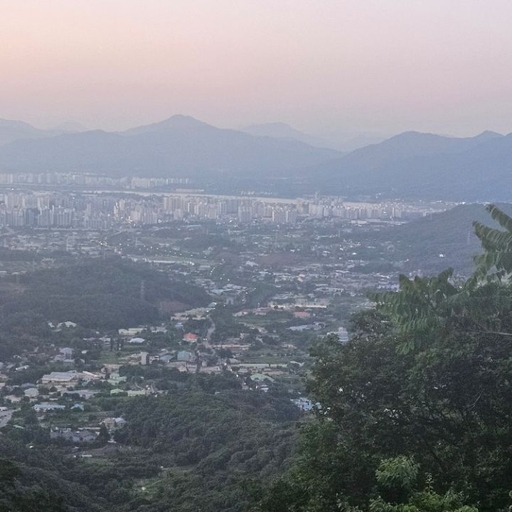 피드 이미지