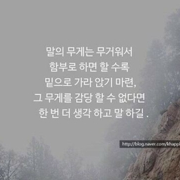 피드에 업로드 된 이미지