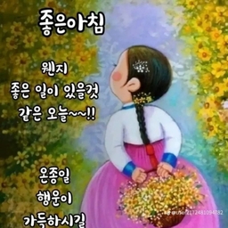 피드에 업로드 된 이미지