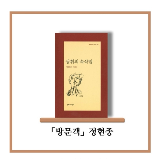 피드 이미지