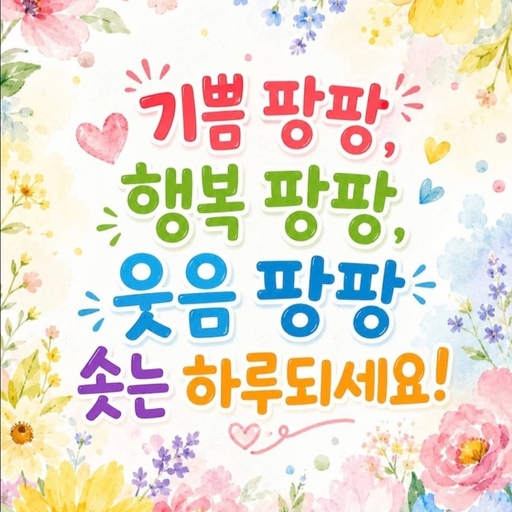 피드 이미지