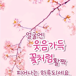 피드에 업로드 된 이미지