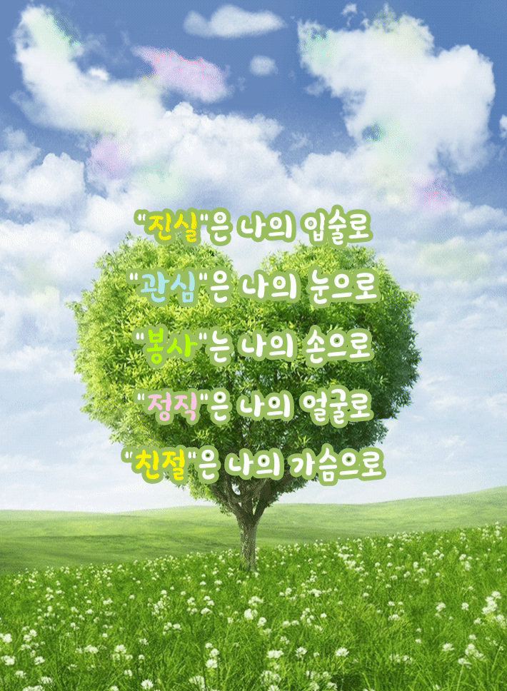 피드 이미지