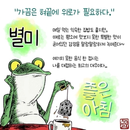 피드에 업로드 된 이미지