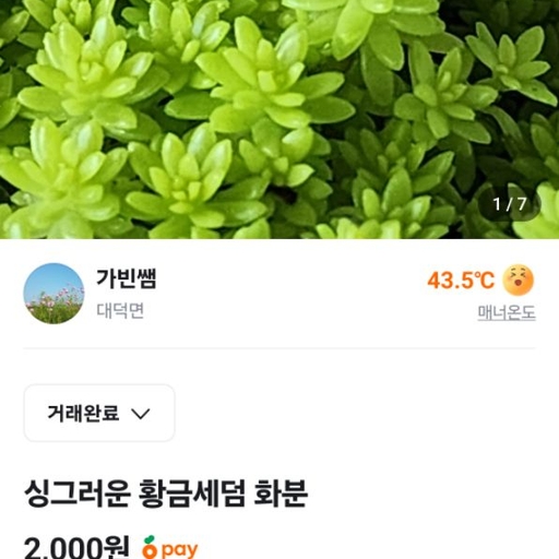 피드 이미지