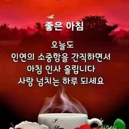 피드에 업로드 된 이미지