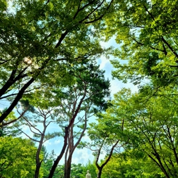 피드에 업로드 된 이미지
