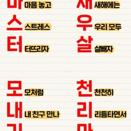 피드에 업로드 된 이미지