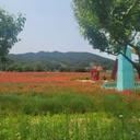 멤버 프로필