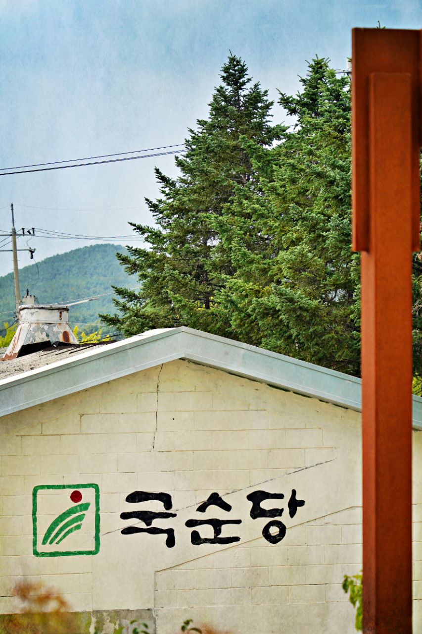 피드 이미지
