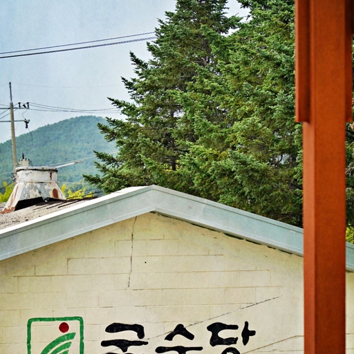 피드 이미지