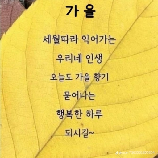 피드 이미지