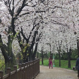 피드에 업로드 된 이미지