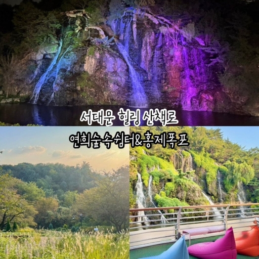 피드 이미지