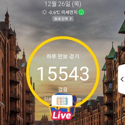 피드에 업로드 된 이미지