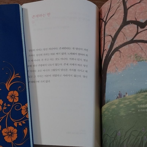 피드 이미지