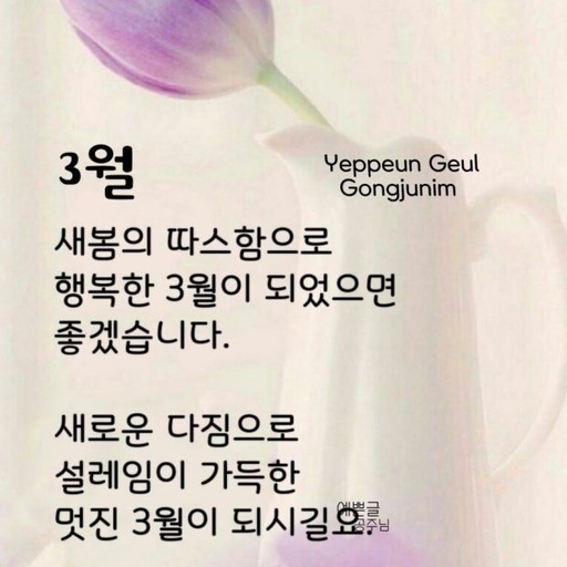 피드 이미지
