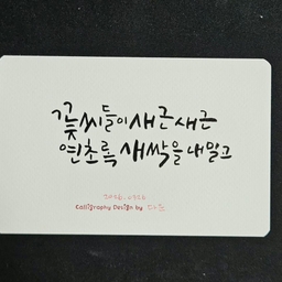 피드에 업로드 된 이미지