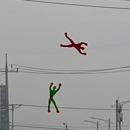 피드에 업로드 된 이미지