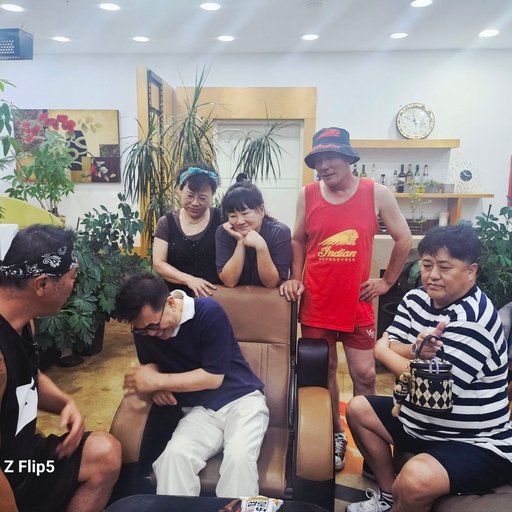 피드 이미지