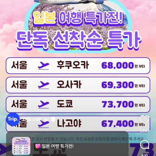 피드 이미지