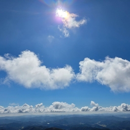피드에 업로드 된 이미지