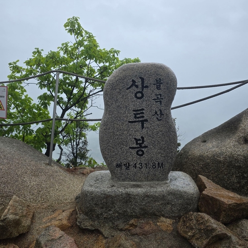 피드 이미지