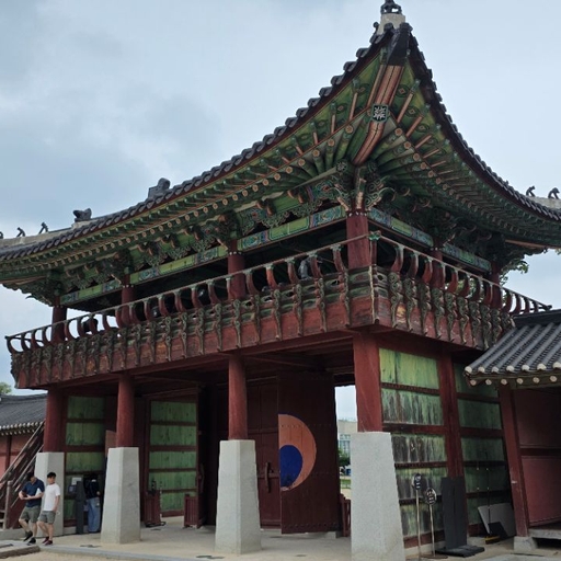 피드 이미지