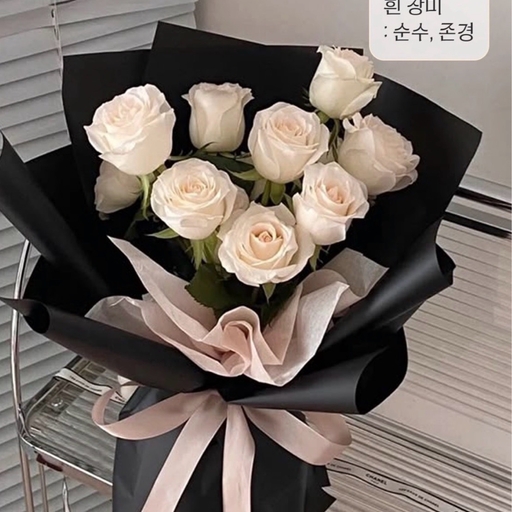 피드 이미지