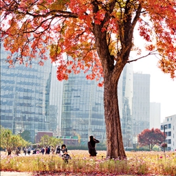 피드에 업로드 된 이미지