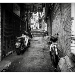 피드에 업로드 된 이미지
