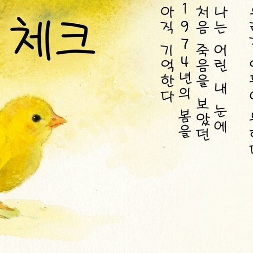 피드 이미지