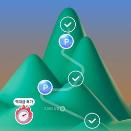 피드에 업로드 된 이미지