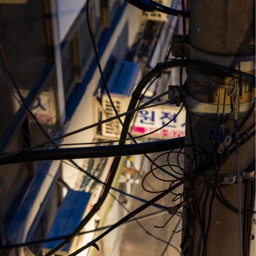피드 이미지
