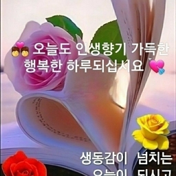 피드에 업로드 된 이미지