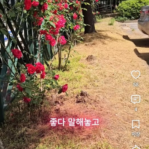 피드 이미지