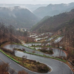 피드에 업로드 된 이미지