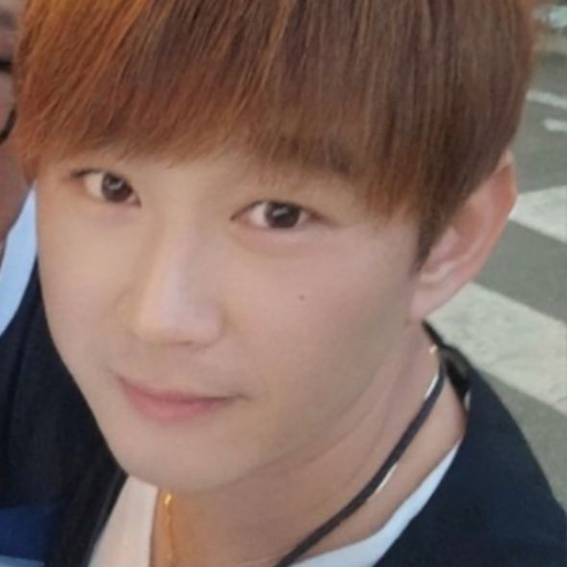 피드 이미지