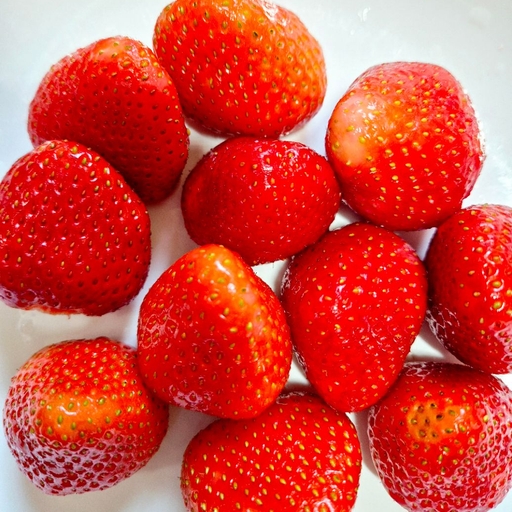 피드 이미지