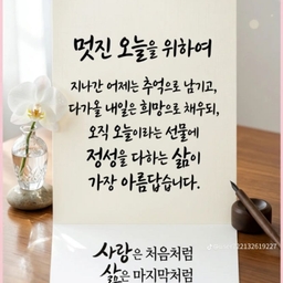 피드에 업로드 된 이미지
