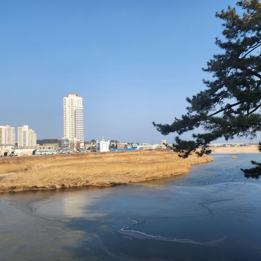 피드 이미지