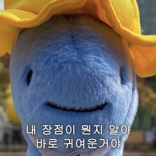피드 이미지