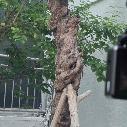 피드 이미지