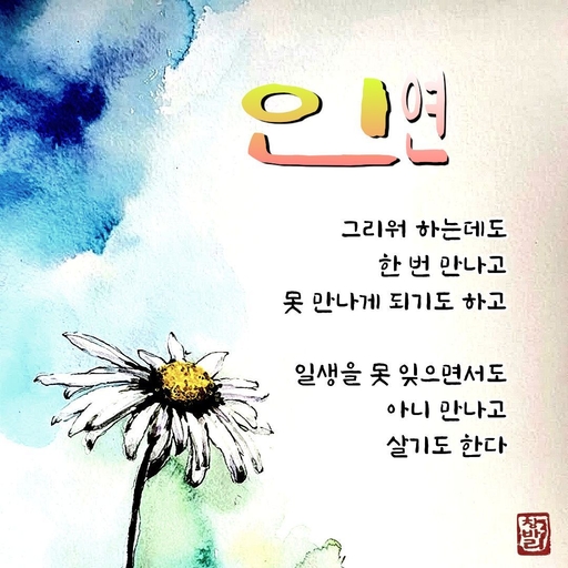 피드 이미지