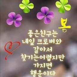 피드에 업로드 된 이미지